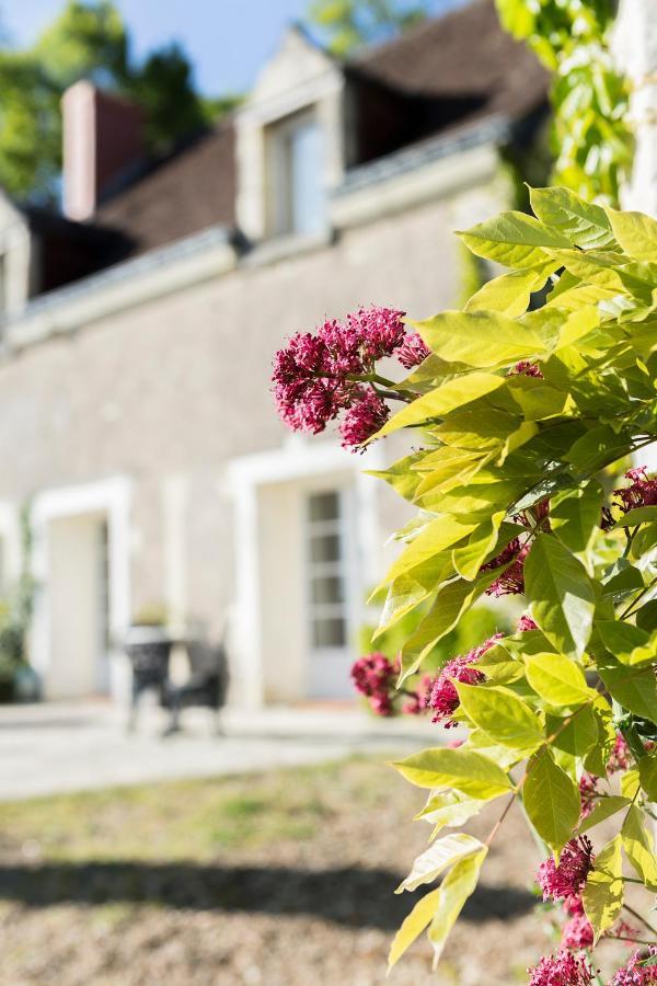Les Terrasses Suite Et Loft De Campagne Avon-les-Roches Buitenkant foto